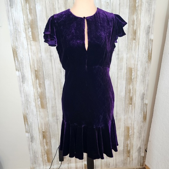 Polo Ralph Lauren Dresses & Skirts - Polo Ralph Lauren Velvet Silk Blend Dress Sz 6 Purple Flutter Sleeve Party